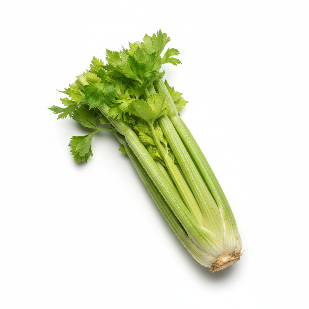 Celery